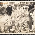 Vietnam Saigon - marché aux fleurs Editeur (…)