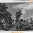 Sud Vietnam Saîgon - Paillotte éditeur (…)