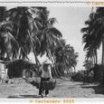 Sud Vietnam Village - Aucun titre - Palanche, (…)