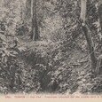 Tonkin - Yen The Tranchées creusées par des (…)